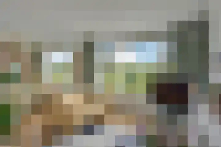 Segbroeklaan 136 Den Haag thumbnail 8