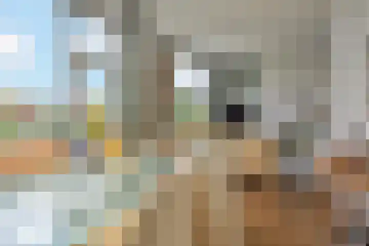 Segbroeklaan 136 Den Haag thumbnail 9