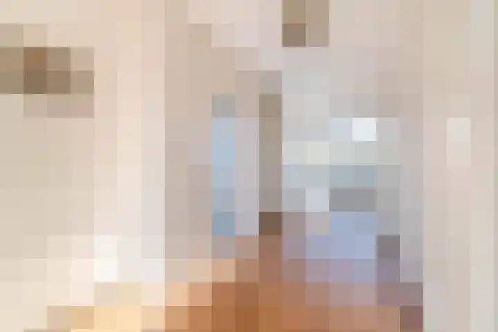 Segbroeklaan 158 Den Haag thumbnail 13