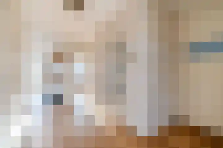 Segbroeklaan 158 Den Haag thumbnail 19