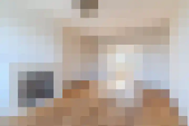 Segbroeklaan 158 Den Haag thumbnail 4