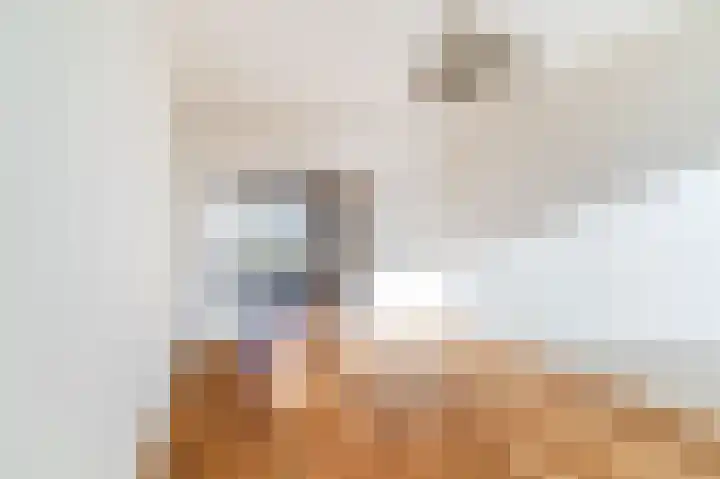 Segbroeklaan 158 Den Haag thumbnail 7