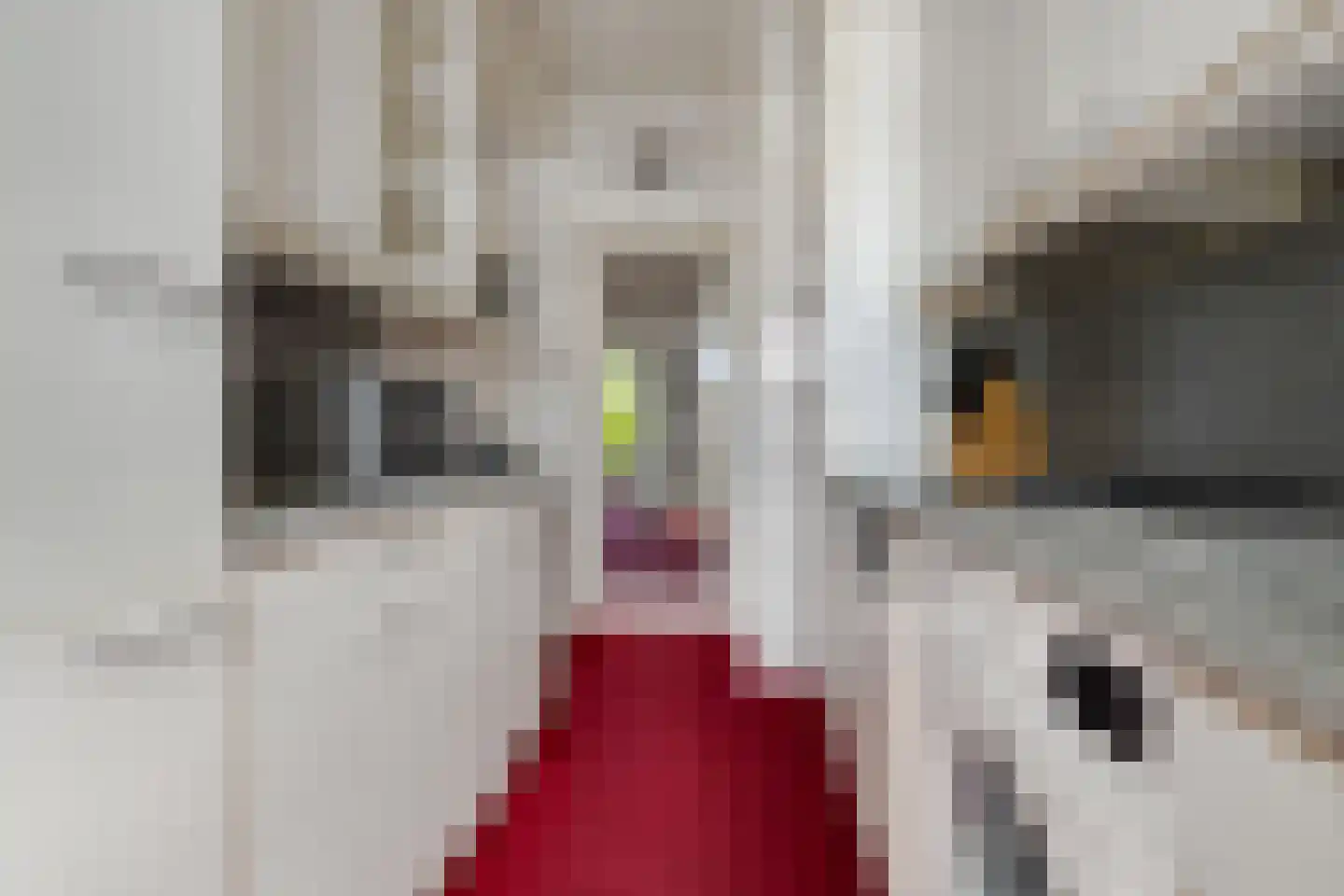Segbroeklaan 162 Den Haag thumbnail 19