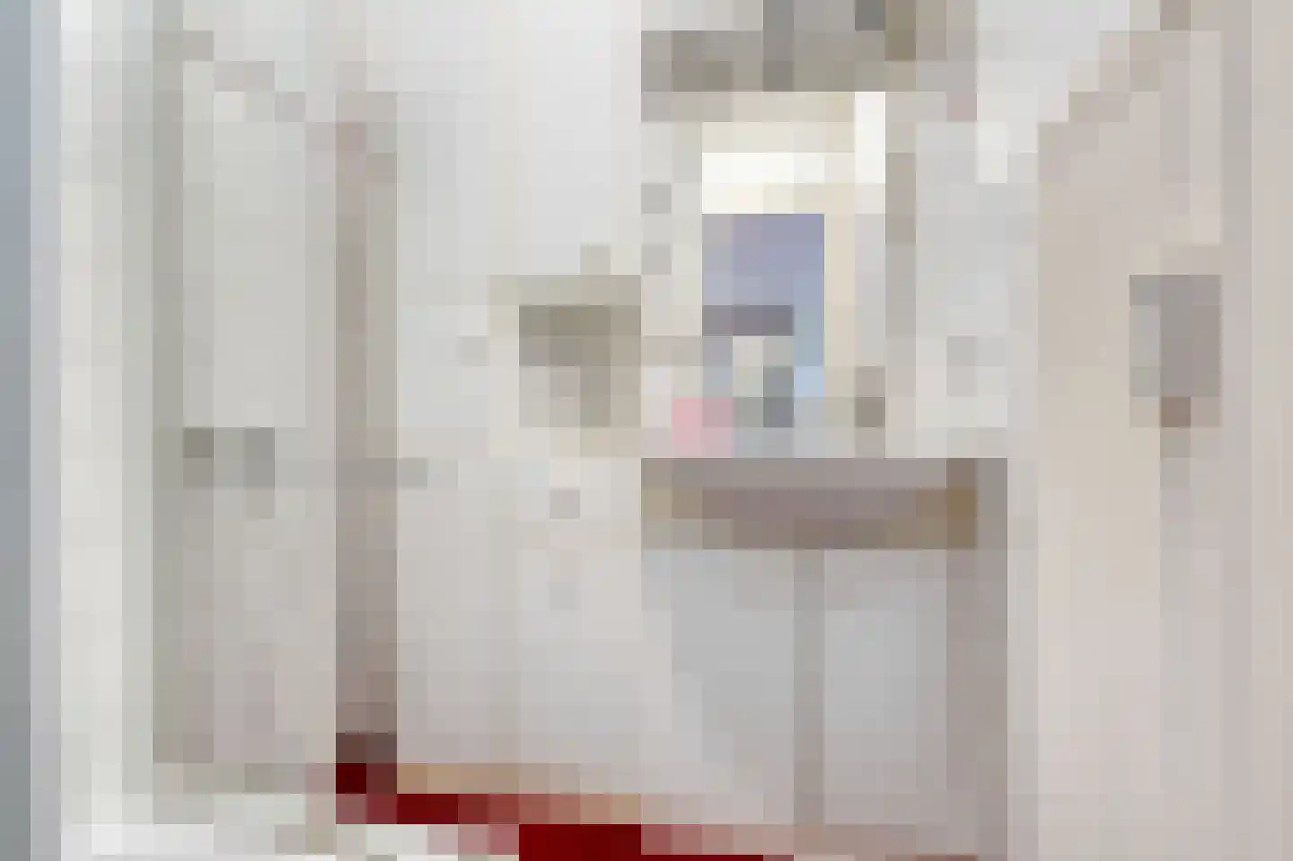 Segbroeklaan 162 Den Haag thumbnail 23