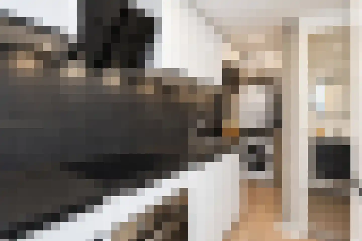 Segbroeklaan 204 Den Haag thumbnail 24