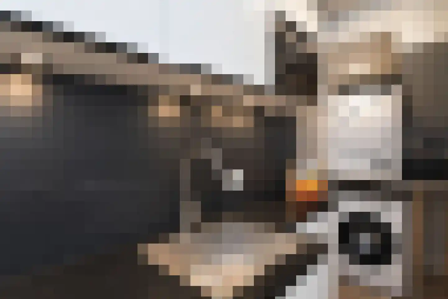 Segbroeklaan 204 Den Haag thumbnail 25