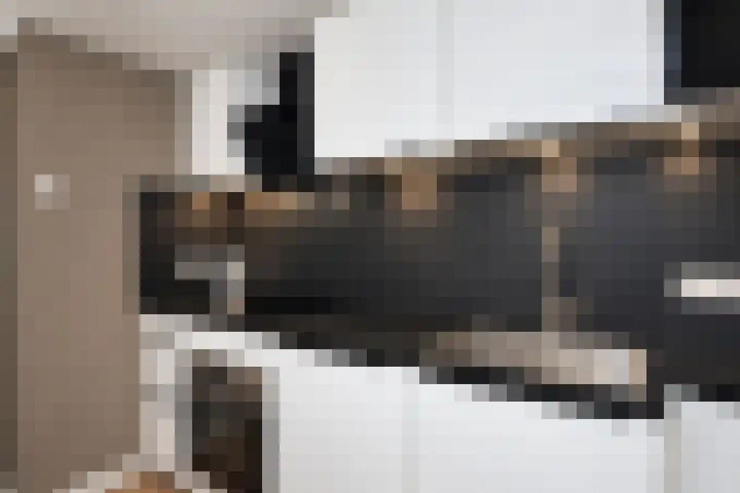 Segbroeklaan 204 Den Haag thumbnail 26