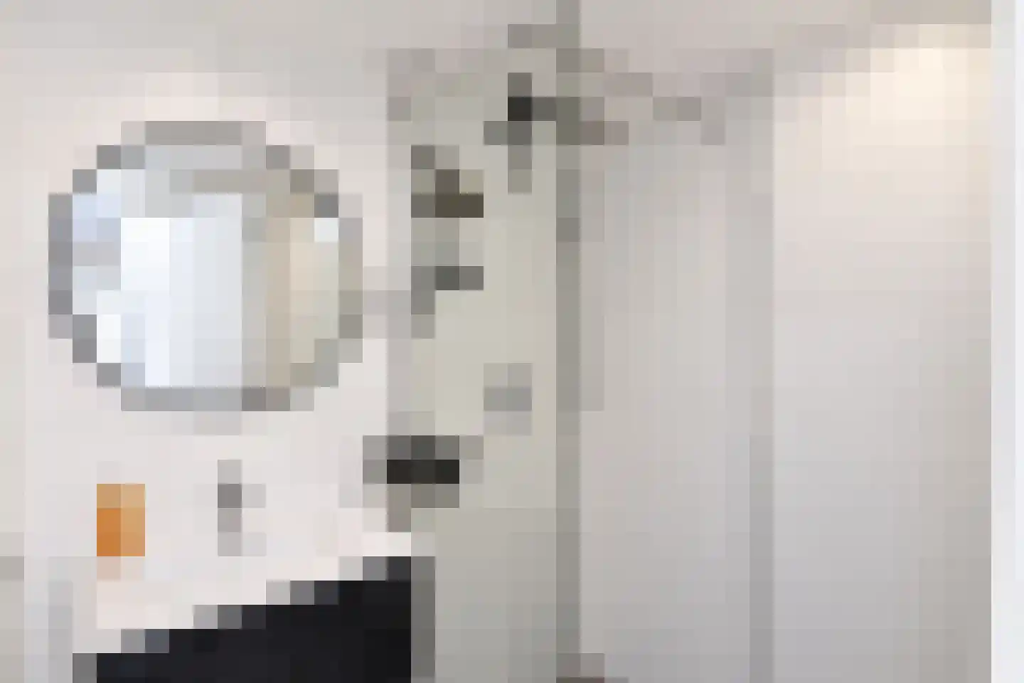 Segbroeklaan 204 Den Haag thumbnail 27