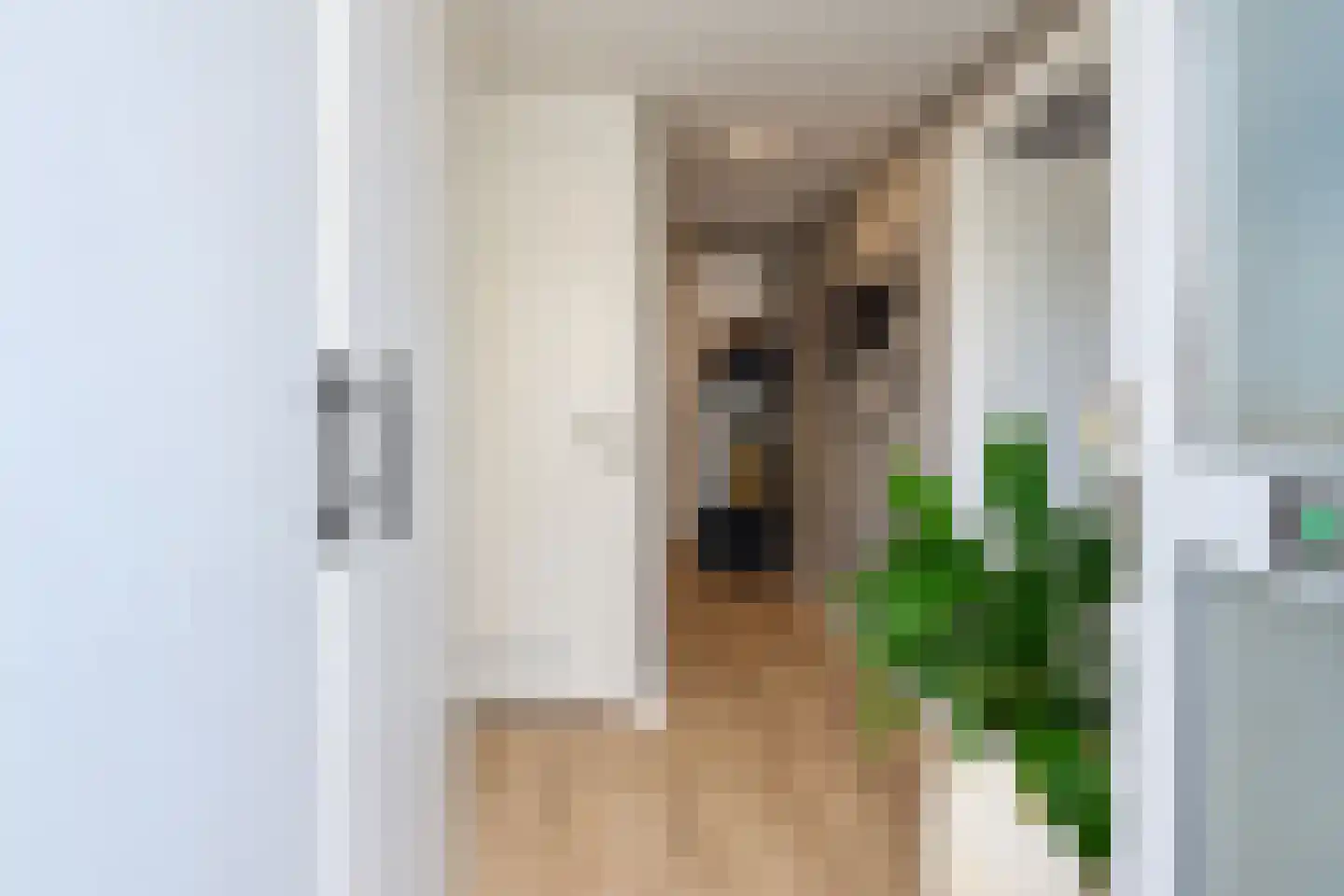 Segbroeklaan 204 Den Haag thumbnail 5