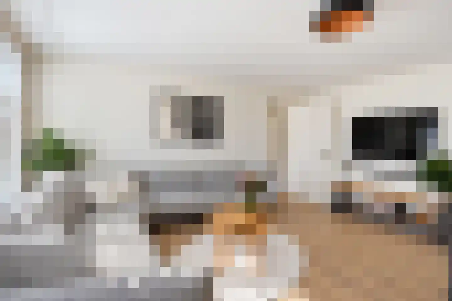 Segbroeklaan 204 Den Haag thumbnail 9