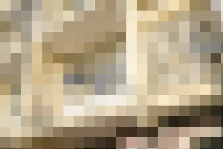 Segbroeklaan 218 Den Haag thumbnail 10