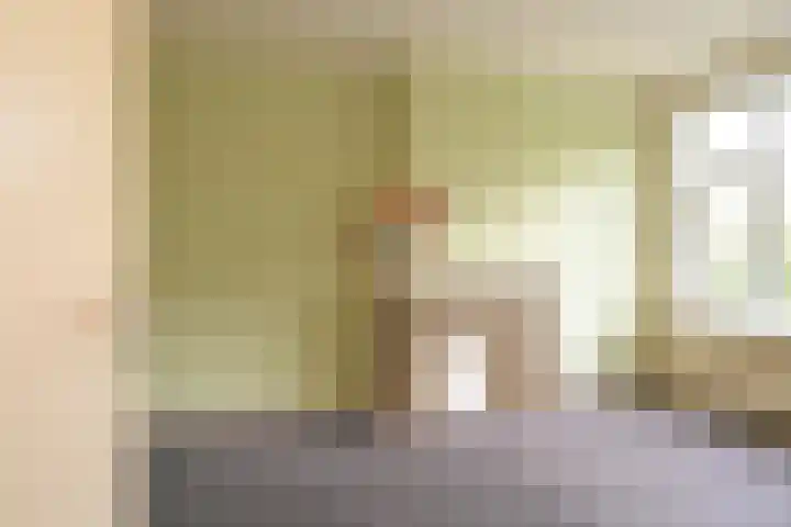 Segbroeklaan 218 Den Haag thumbnail 15