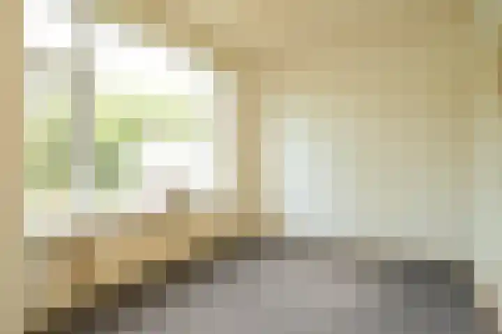 Segbroeklaan 218 Den Haag thumbnail 20
