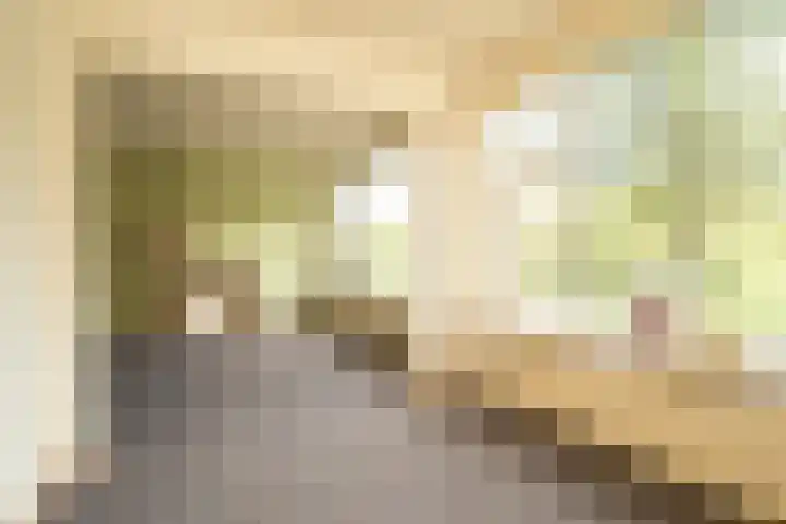 Segbroeklaan 218 Den Haag thumbnail 21