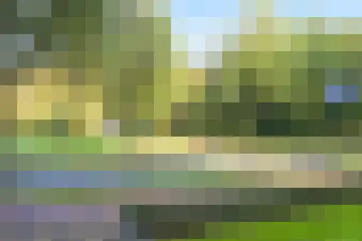 Segbroeklaan 218 Den Haag thumbnail 22