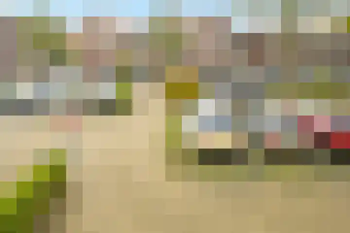 Segbroeklaan 218 Den Haag thumbnail 27