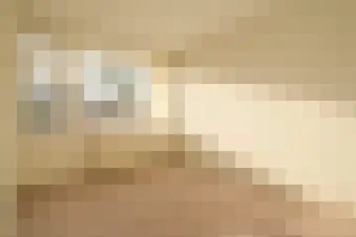 Segbroeklaan 218 Den Haag thumbnail 29