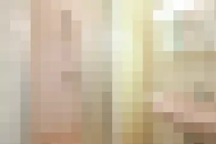 Segbroeklaan 218 Den Haag thumbnail 31