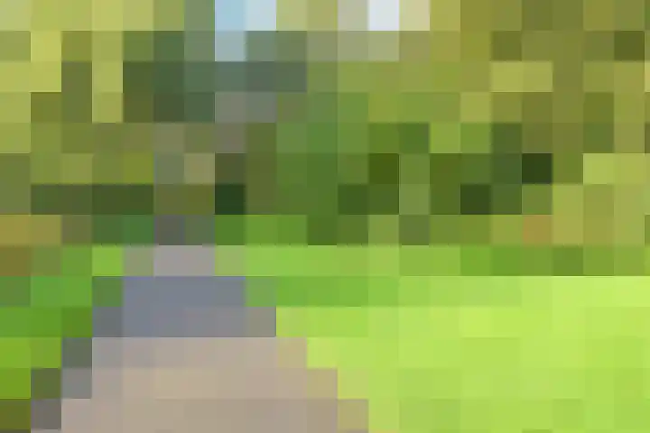 Segbroeklaan 218 Den Haag thumbnail 36