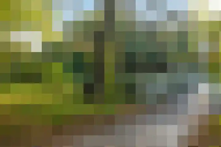 Segbroeklaan 218 Den Haag thumbnail 37