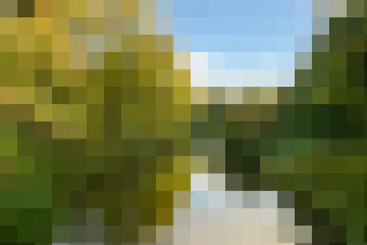 Segbroeklaan 218 Den Haag thumbnail 38