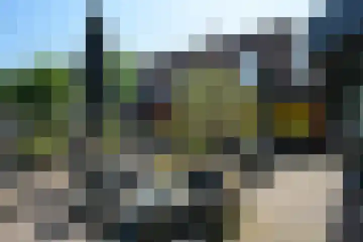 Segbroeklaan 218 Den Haag thumbnail 40