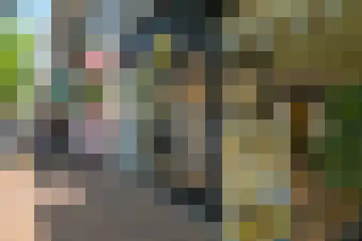 Segbroeklaan 218 Den Haag thumbnail 41