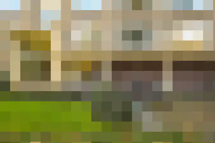 Segbroeklaan 218 Den Haag thumbnail 7