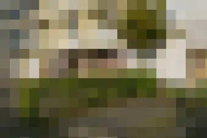Segbroeklaan 218 Den Haag thumbnail 9