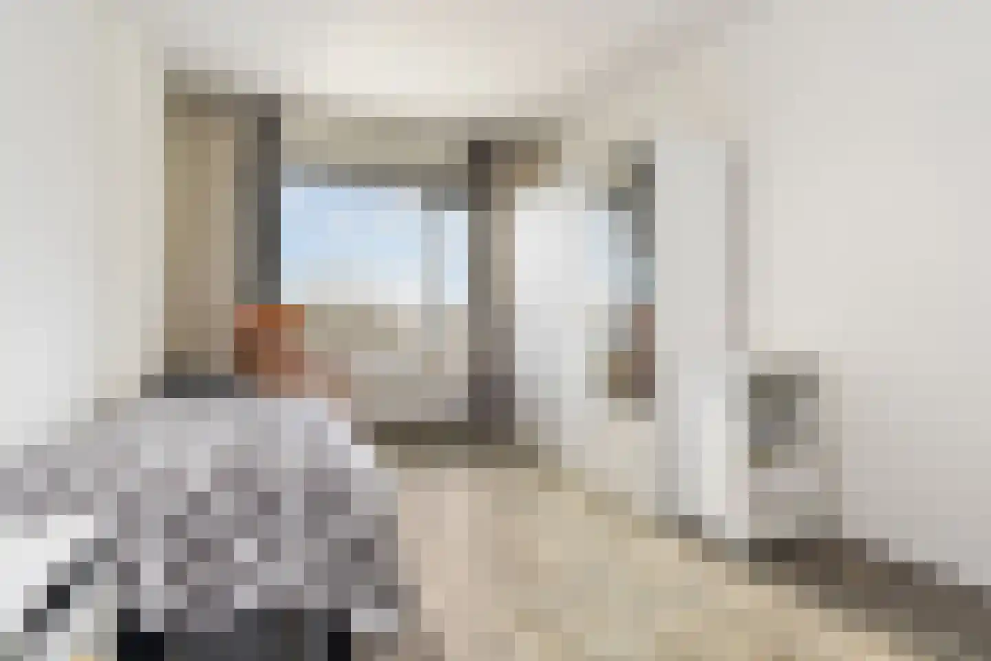Segbroeklaan 238 Den Haag thumbnail 12