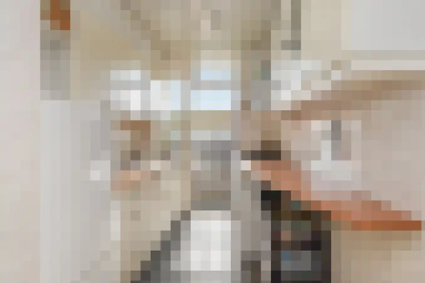 Segbroeklaan 238 Den Haag thumbnail 13