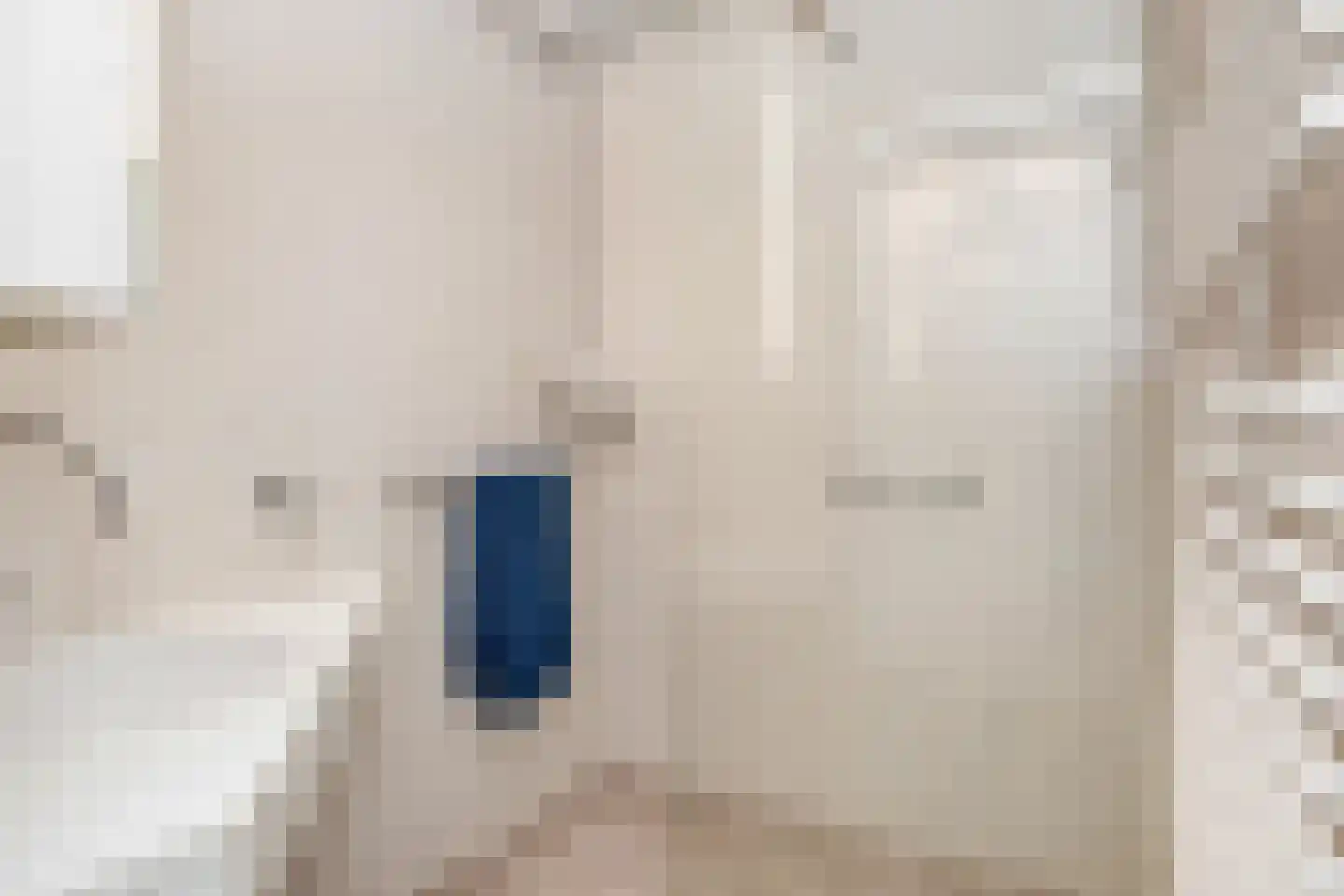 Segbroeklaan 238 Den Haag thumbnail 16