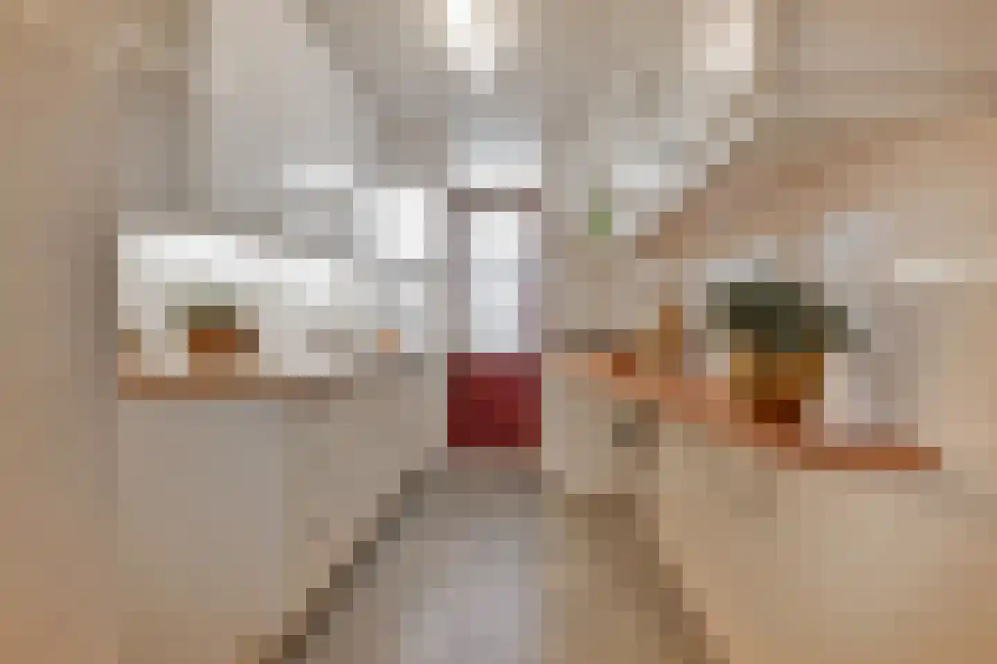 Segbroeklaan 238 Den Haag thumbnail 18