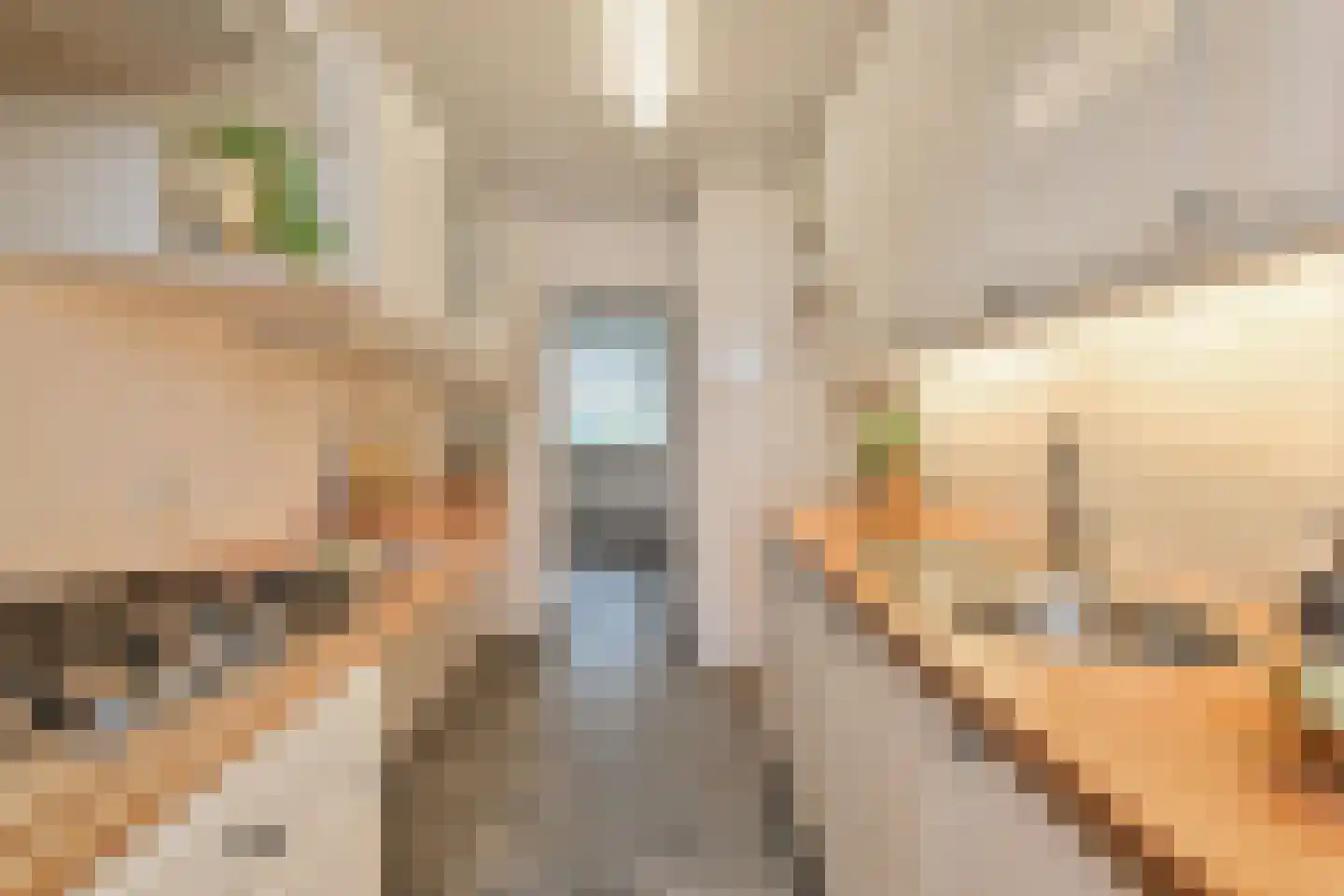 Segbroeklaan 238 Den Haag thumbnail 22