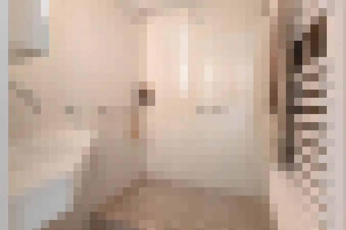 Segbroeklaan 238 Den Haag thumbnail 24