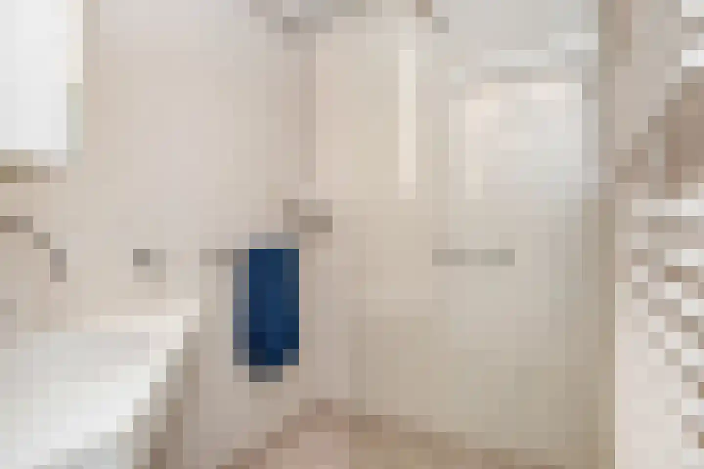 Segbroeklaan 238 Den Haag thumbnail 25