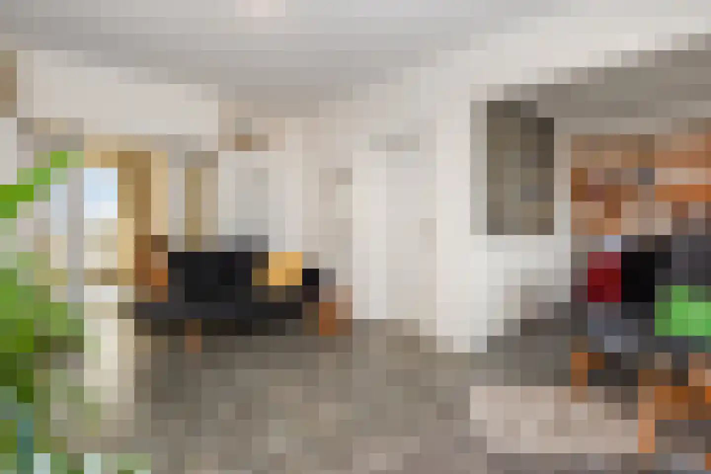 Segbroeklaan 238 Den Haag thumbnail 5