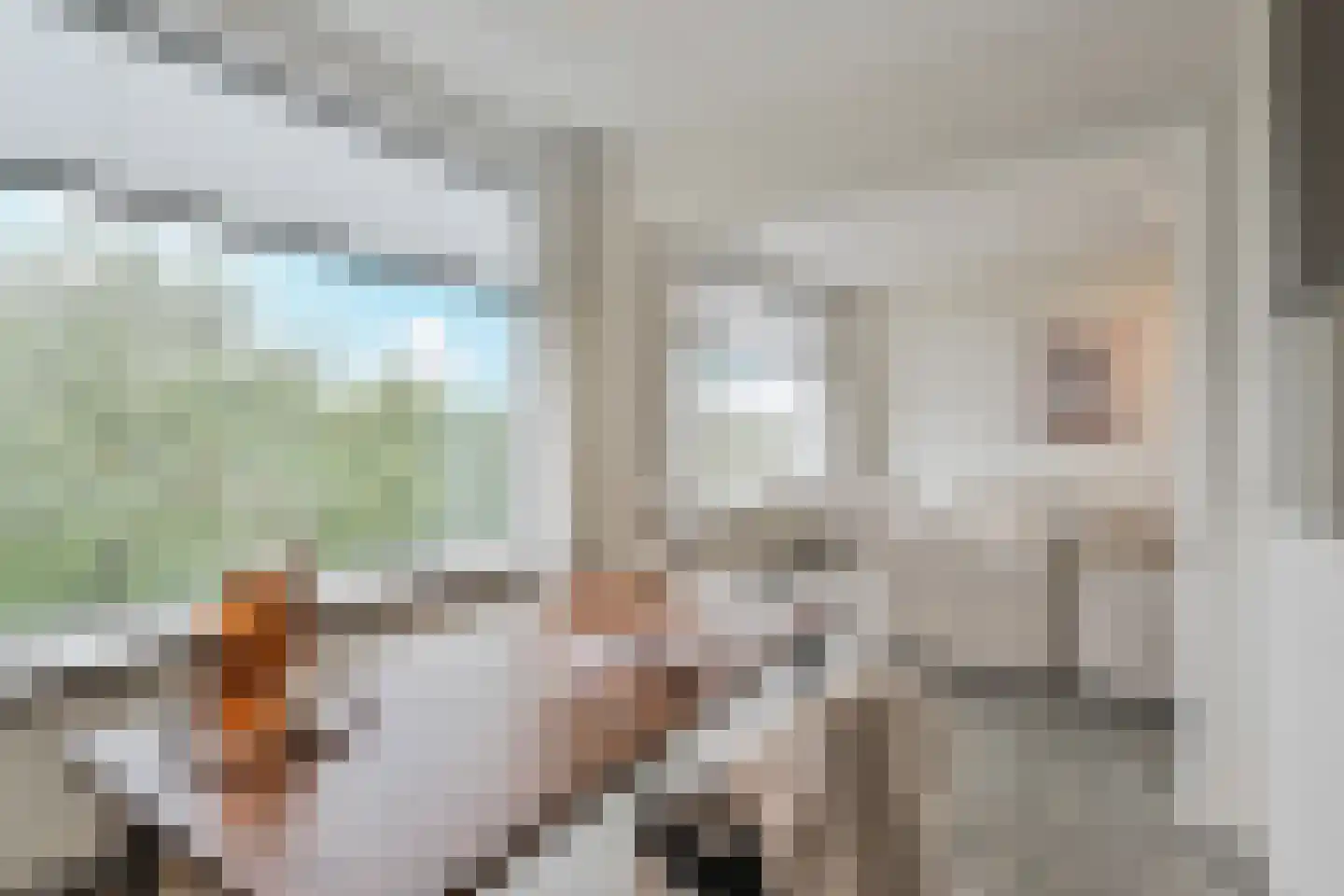 Segbroeklaan 238 Den Haag thumbnail 7