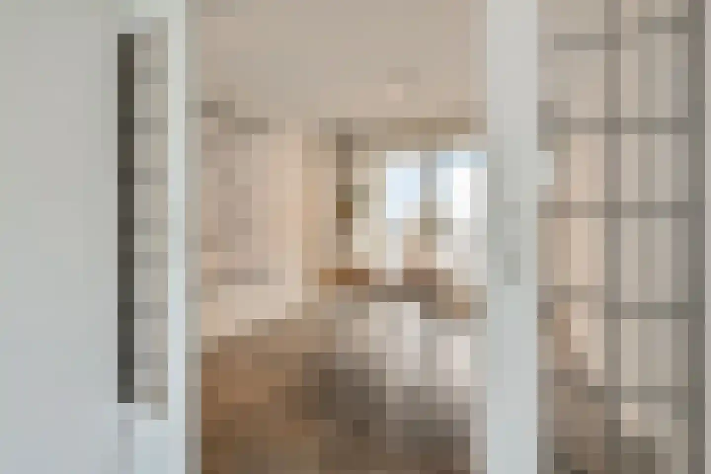 Segbroeklaan 238 Den Haag thumbnail 8