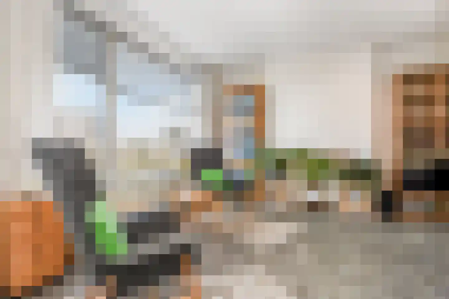 Segbroeklaan 238 Den Haag thumbnail 8
