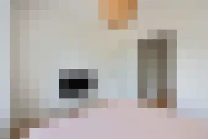 Segbroeklaan 24 Den Haag thumbnail 12