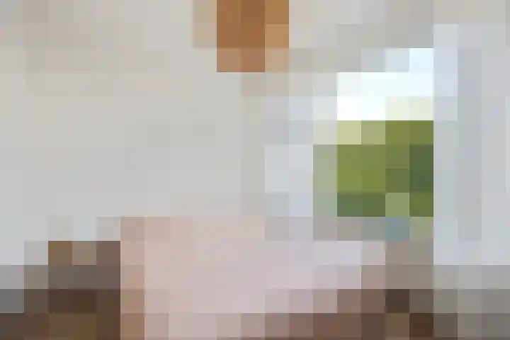 Segbroeklaan 24 Den Haag thumbnail 14