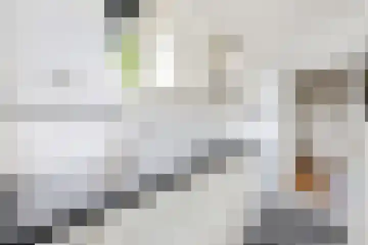 Segbroeklaan 24 Den Haag thumbnail 15