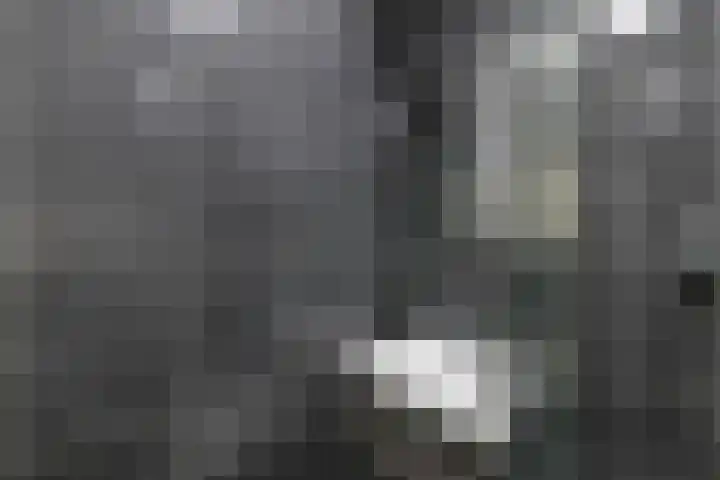 Segbroeklaan 24 Den Haag thumbnail 17