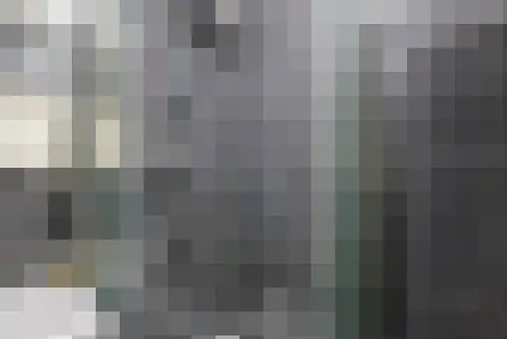 Segbroeklaan 24 Den Haag thumbnail 18