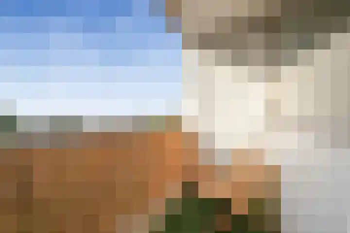 Segbroeklaan 24 Den Haag thumbnail 19