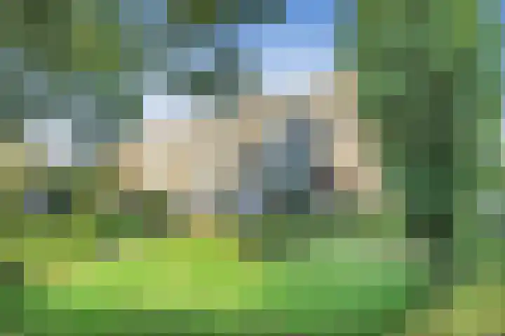 Segbroeklaan 24 Den Haag thumbnail 20