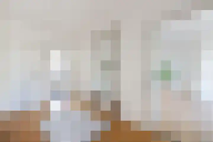 Segbroeklaan 24 Den Haag thumbnail 4