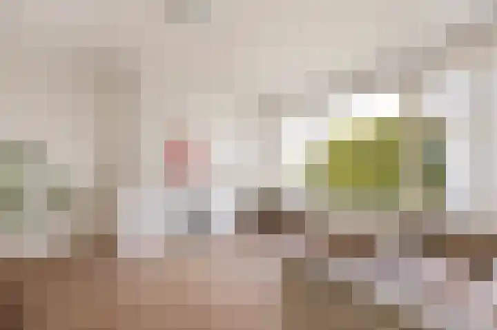 Segbroeklaan 24 Den Haag thumbnail 5