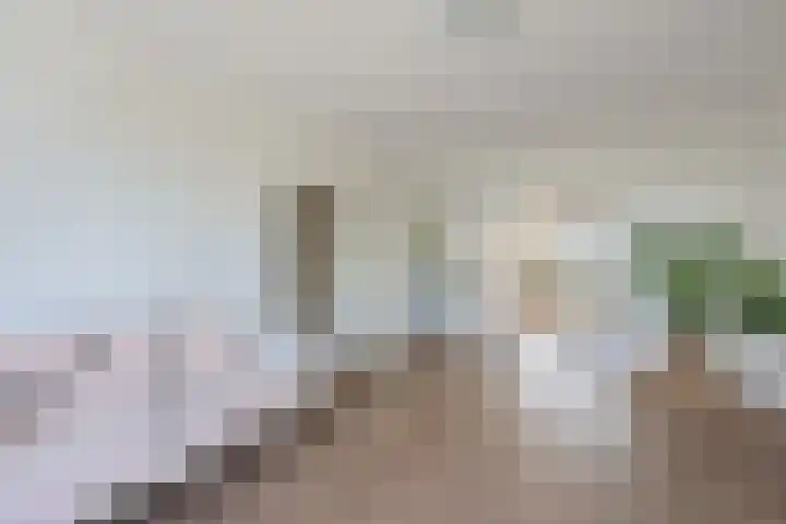 Segbroeklaan 24 Den Haag thumbnail 7